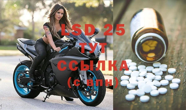 ПСИЛОЦИБИНОВЫЕ ГРИБЫ Верея