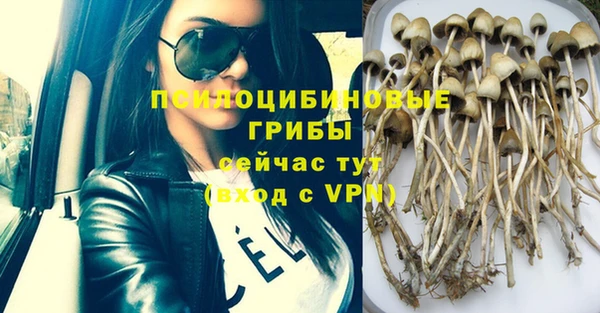 PSILOCYBIN Богородск