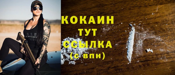 шишки Верхний Тагил