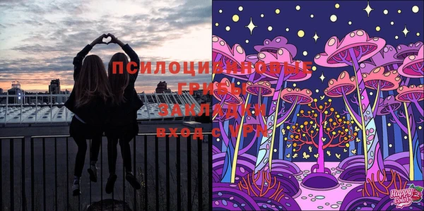 крисы Верхнеуральск
