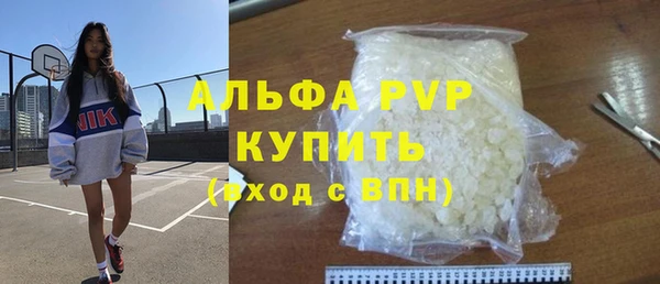 ПСИЛОЦИБИНОВЫЕ ГРИБЫ Верея