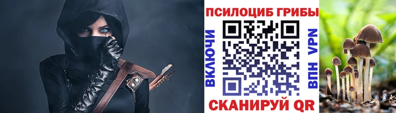 магазин продажи наркотиков  Игарка  Галлюциногенные грибы GOLDEN TEACHER 